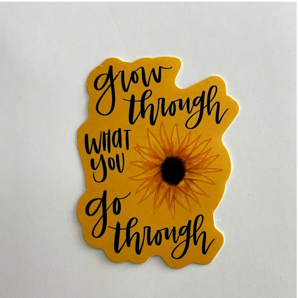 5/$10 Inspirational Waterproof New Vinyl Sticker Decal Grow Through What You Go